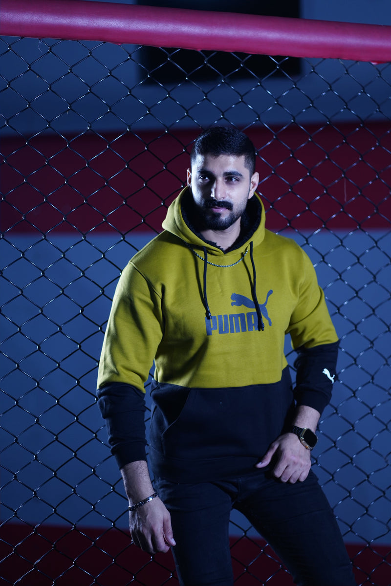 Puma Panel Hoodie